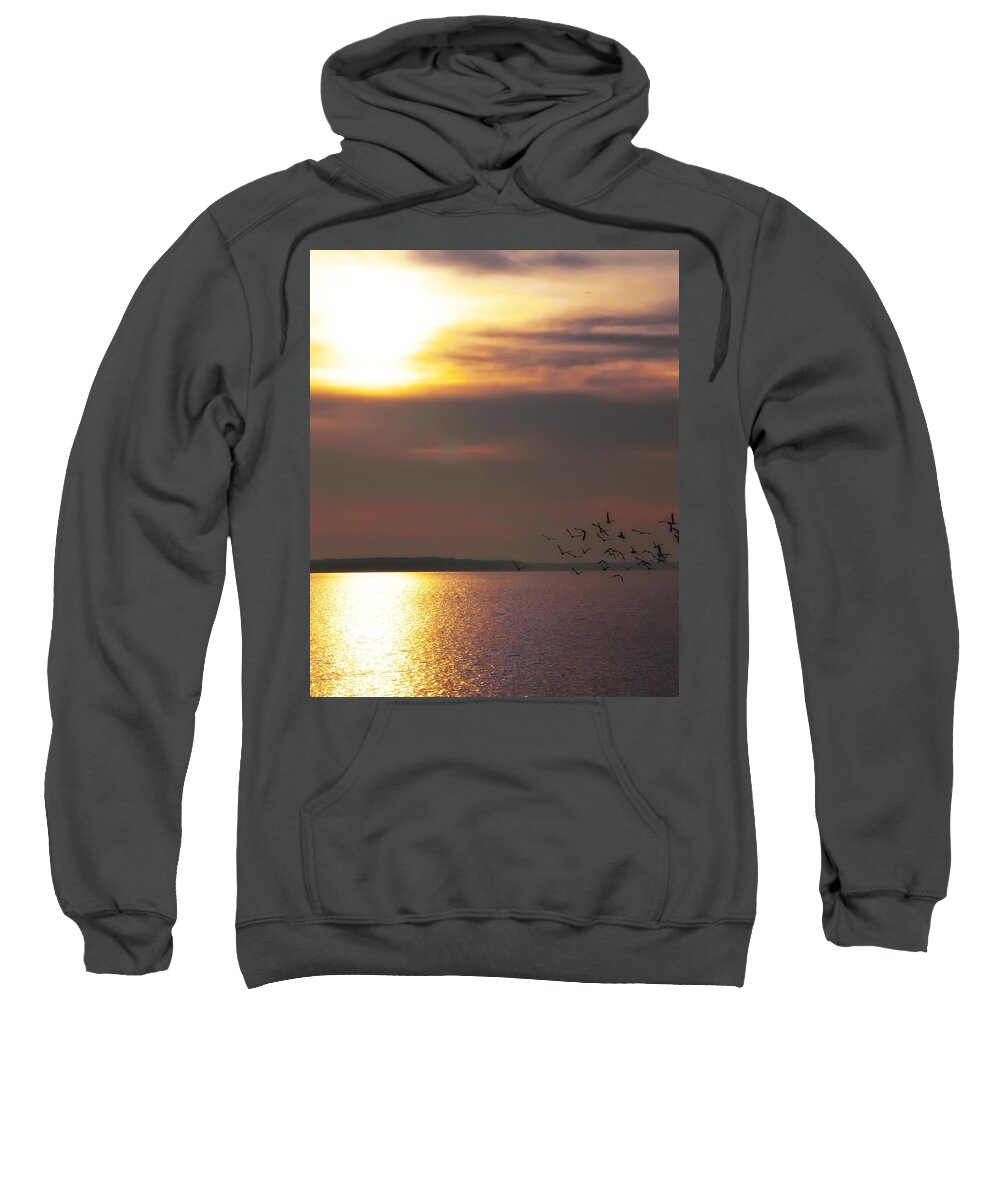 Seagulls Sweatshirt featuring the photograph Seagulls on the Chesapeake by Bill Cannon