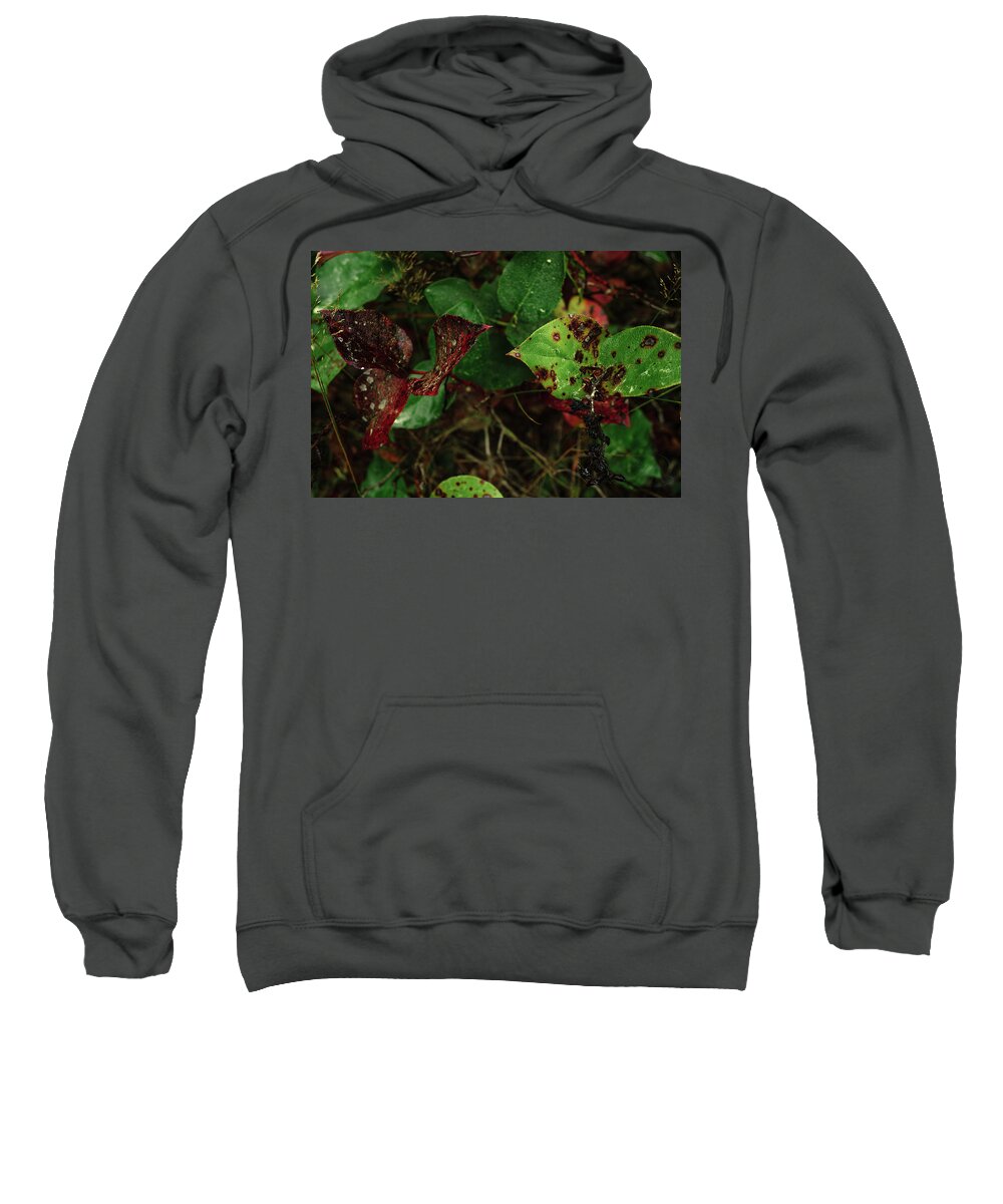 Leaves Sweatshirt featuring the photograph Season Color by Gene Garnace