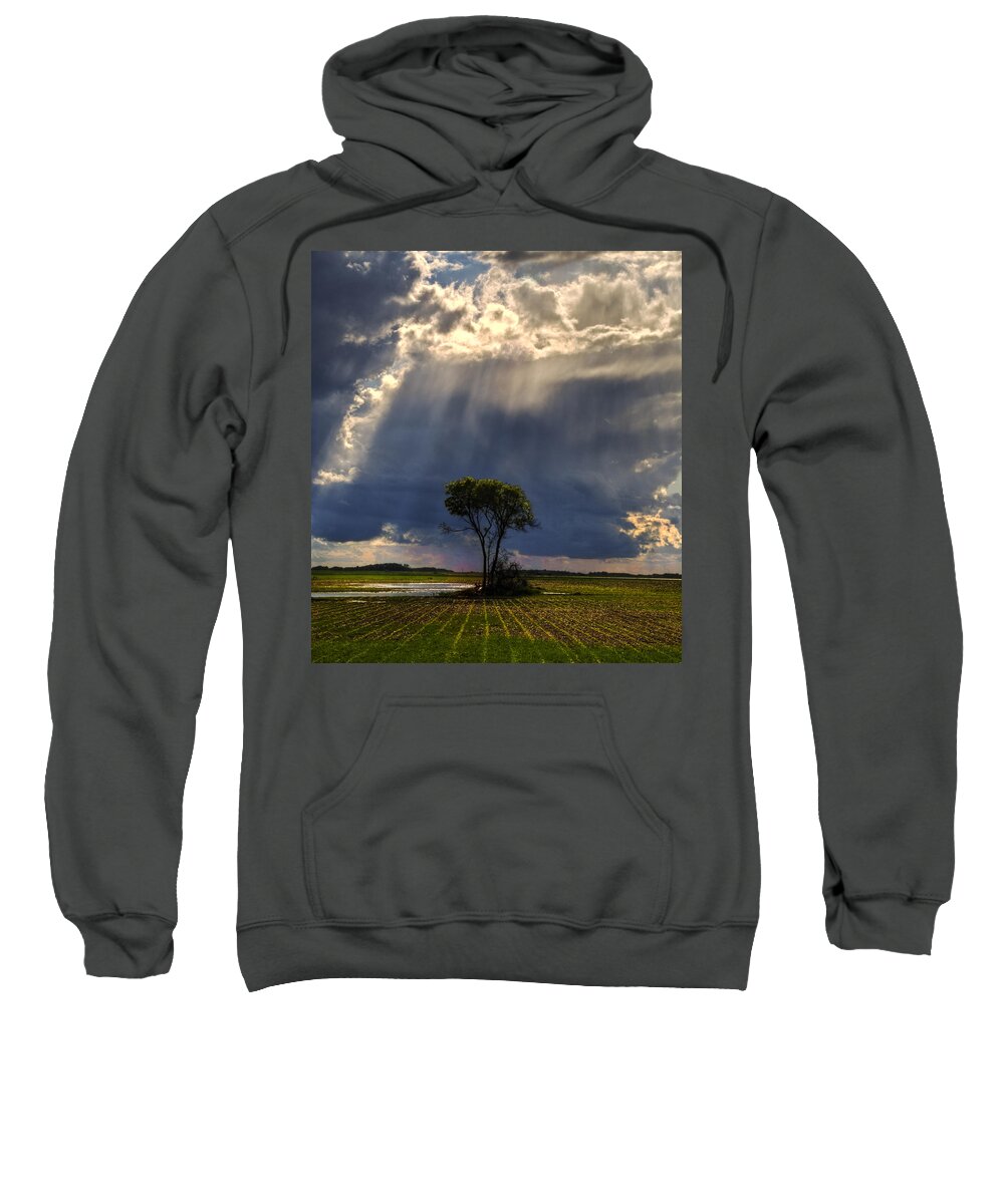 Tree Sweatshirt featuring the photograph Send Me Some Sun by Sandra Parlow