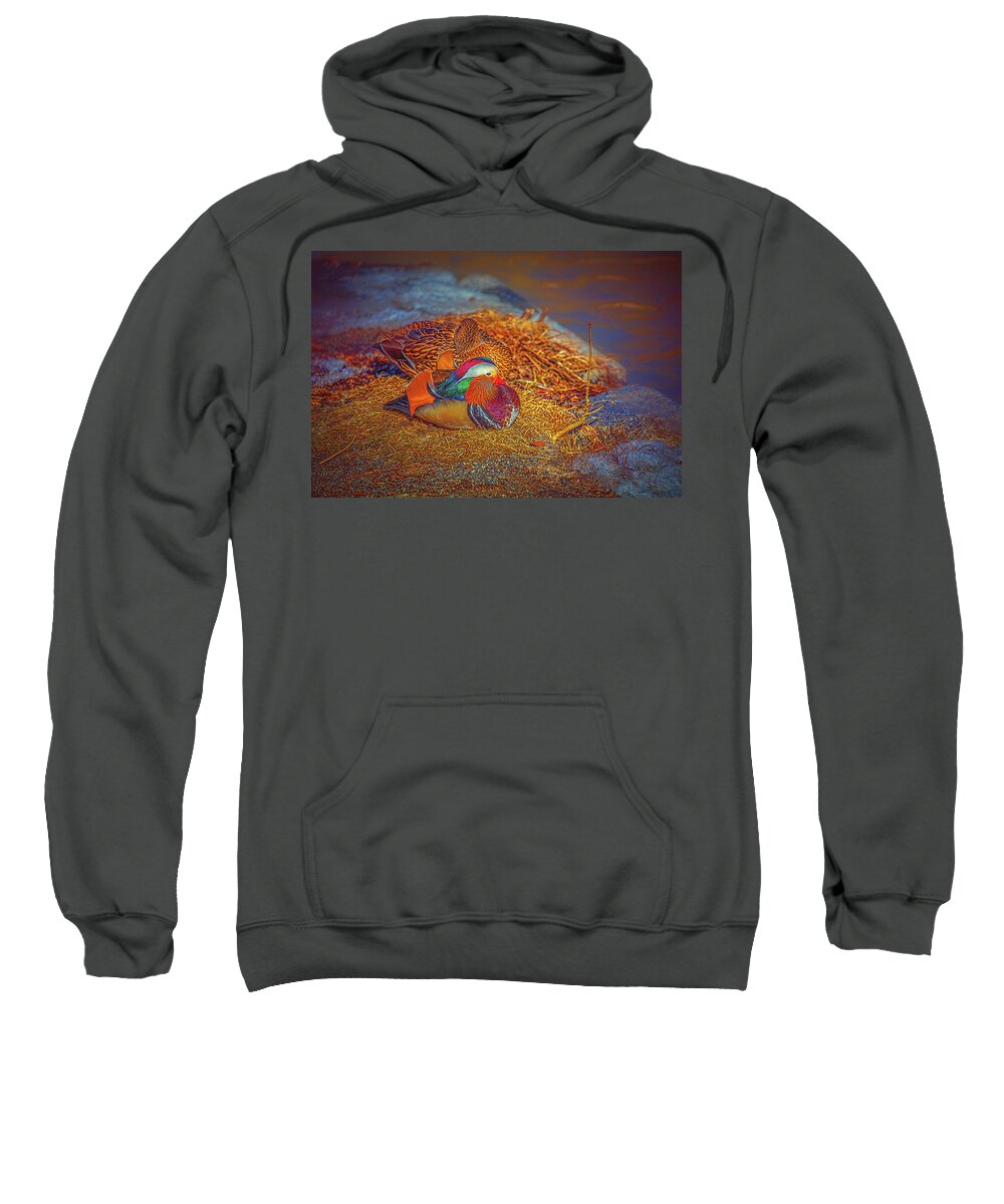 Sheltered Sweatshirt featuring the photograph Sheltered #h4 by Leif Sohlman