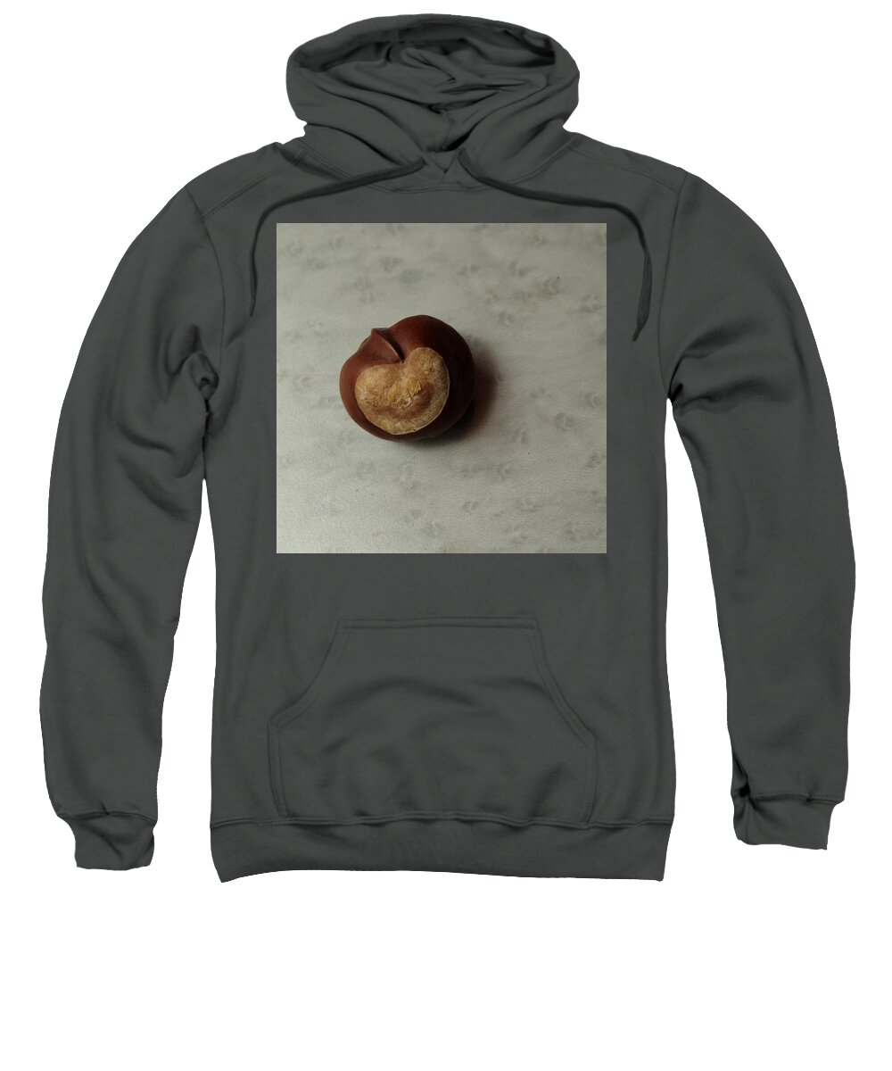 Horse Chestnut Sweatshirt featuring the photograph Single Conker by Adrian Wale