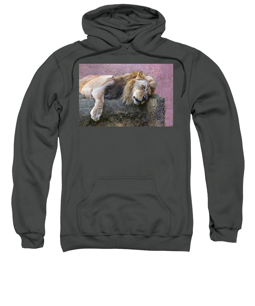 Lion Sweatshirt featuring the photograph Sleeping Lion by Roslyn Wilkins