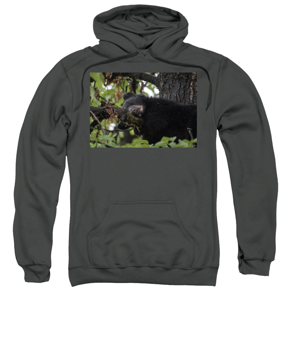 Black Bear Sweatshirt featuring the photograph Sleepy Cub by David Kirby