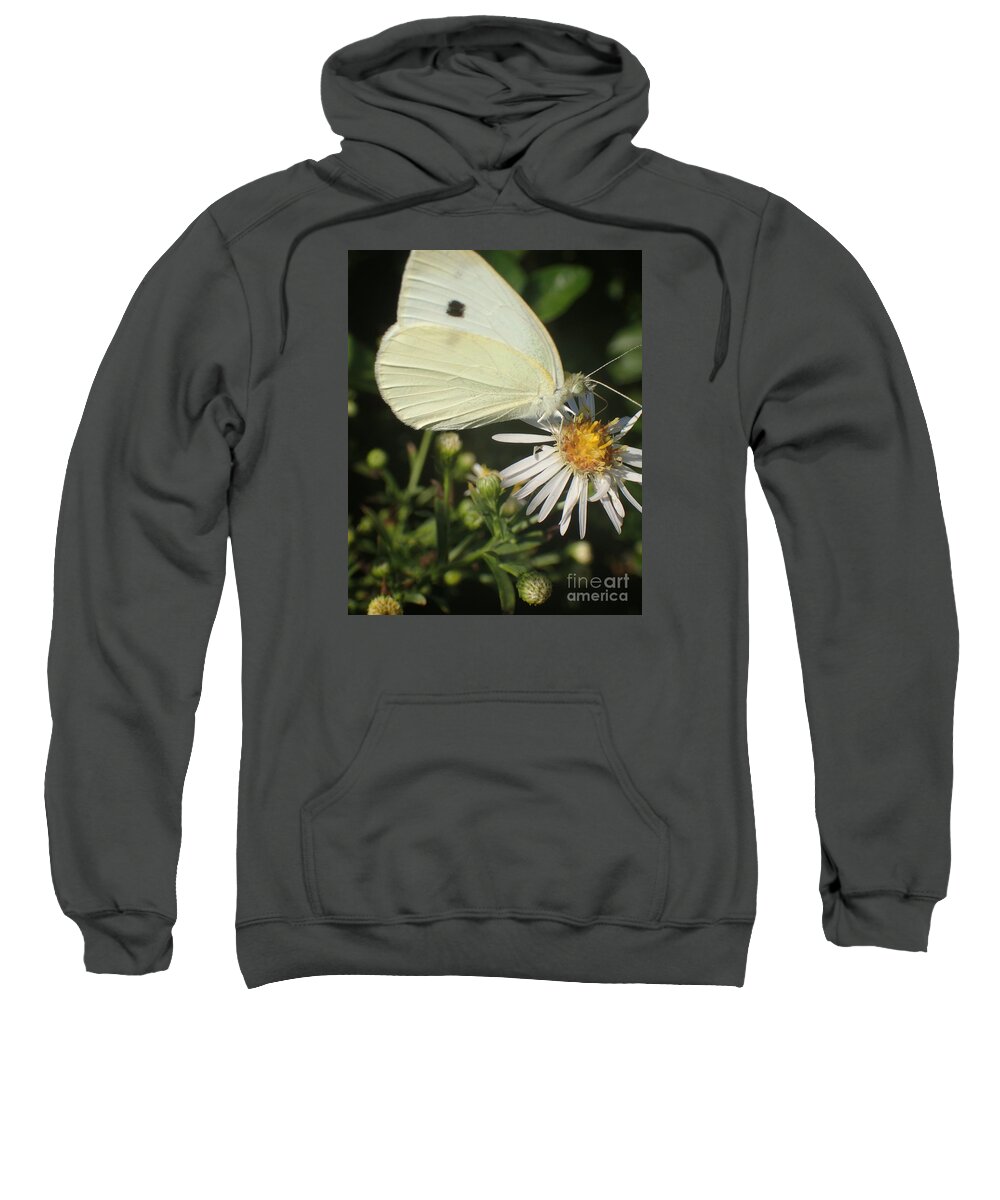 Flowers Sweatshirt featuring the photograph Sm Butterfly Rest Stop by Christina Verdgeline