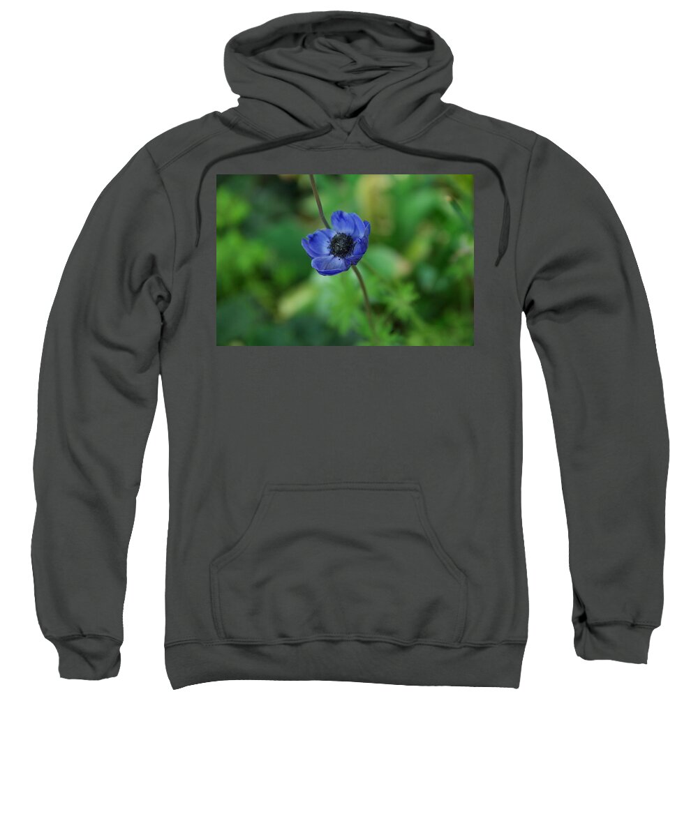 Flower Sweatshirt featuring the photograph Small blue button by Jeff Swan