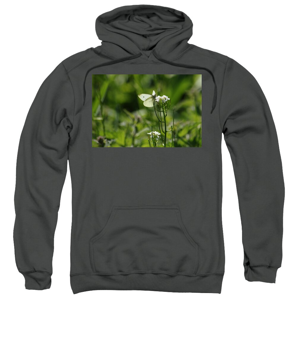 Butterfly Sweatshirt featuring the photograph Small White In Scottish Meadow by Adrian Wale