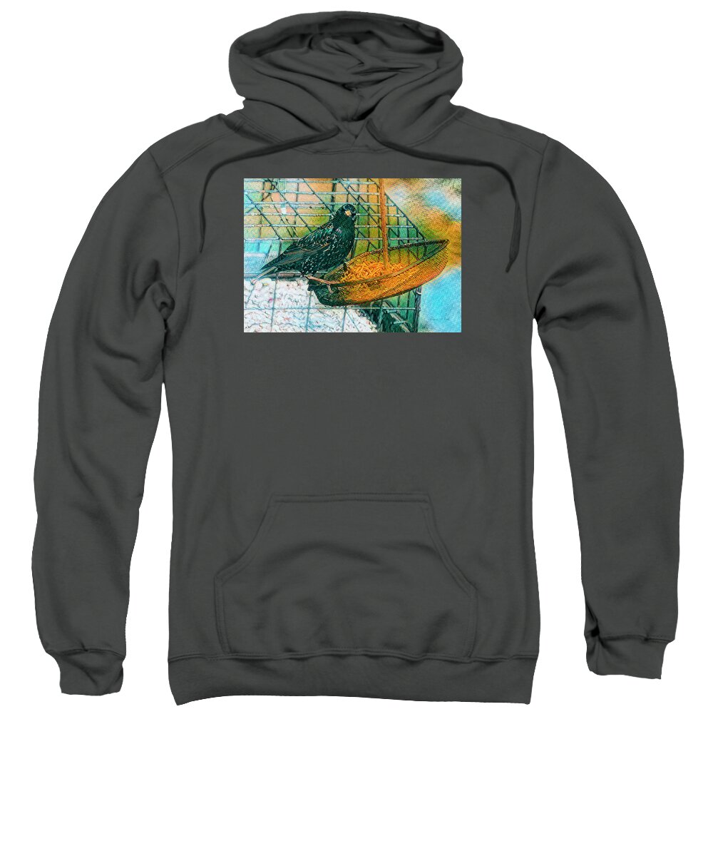 Smug Starling Sweatshirt featuring the photograph Smug Starling by Bellesouth Studio