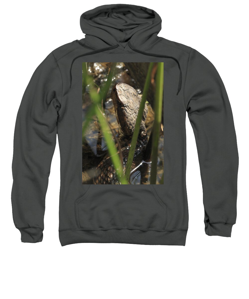 Brown Sweatshirt featuring the photograph Snake in the Water by Travis Rogers
