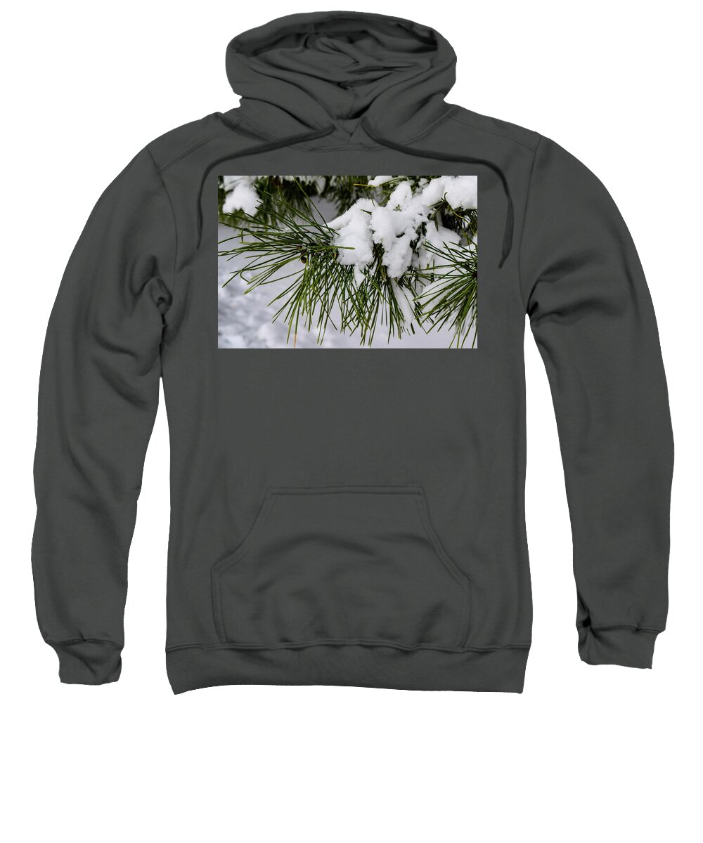 Snow Sweatshirt featuring the photograph Snowy Branch by Nicole Lloyd