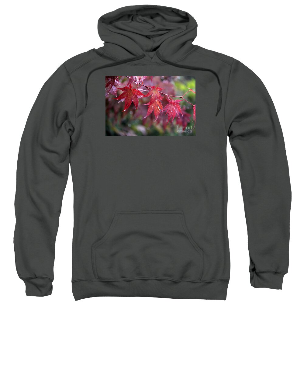 Leaves Sweatshirt featuring the photograph Soaked by Yumi Johnson