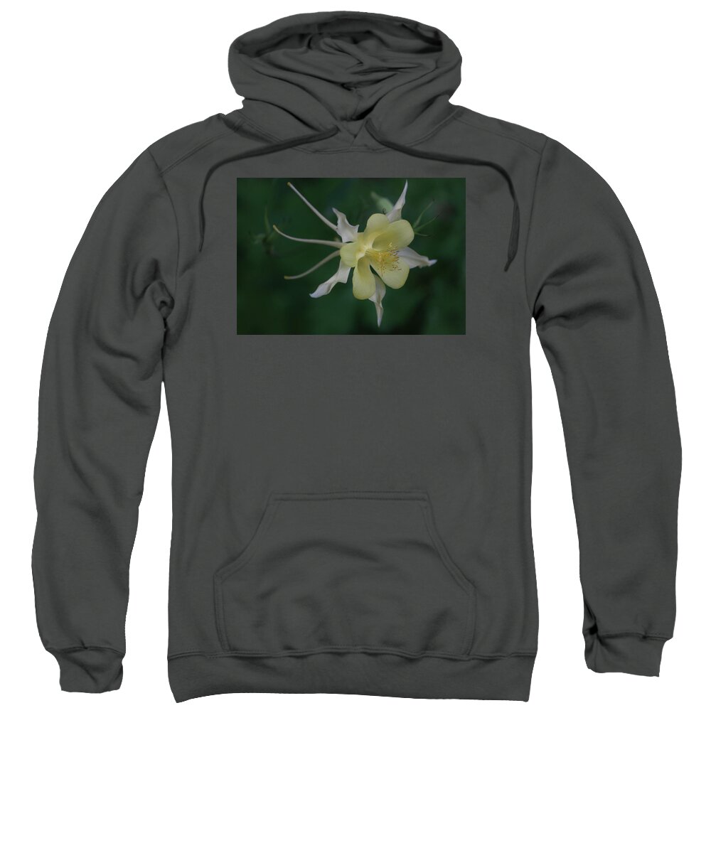 Photograph Sweatshirt featuring the photograph Soft and Graceful by Suzanne Gaff