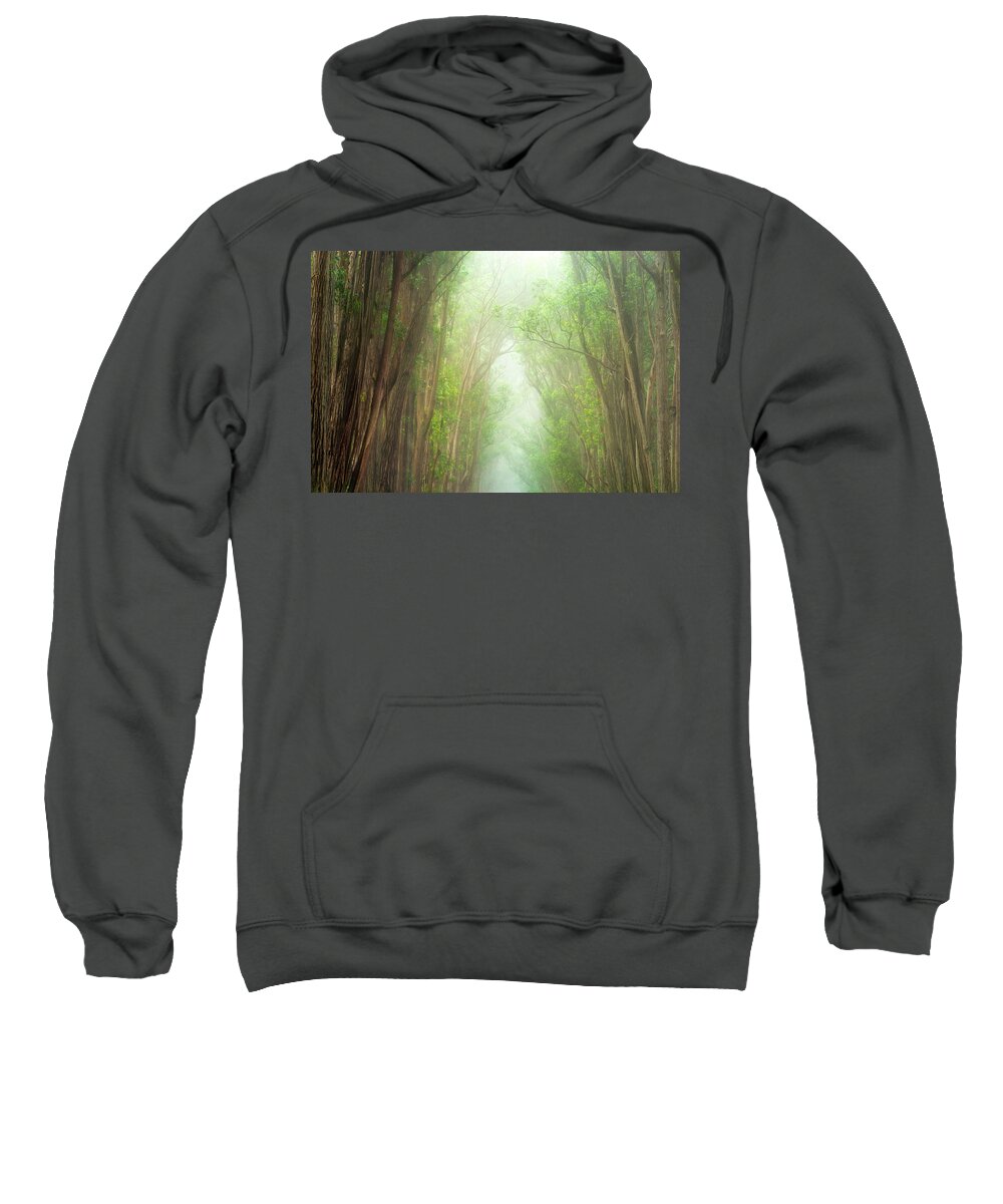 Landscape Sweatshirt featuring the photograph Soft Forest Light by Christopher Johnson
