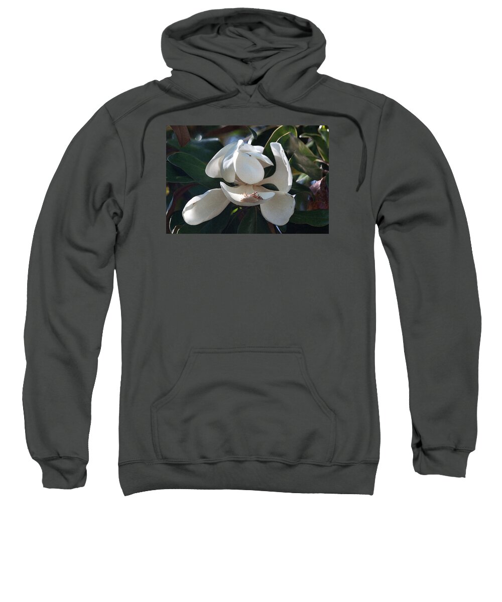 Photograph Sweatshirt featuring the photograph Softly Gracefully by Suzanne Gaff