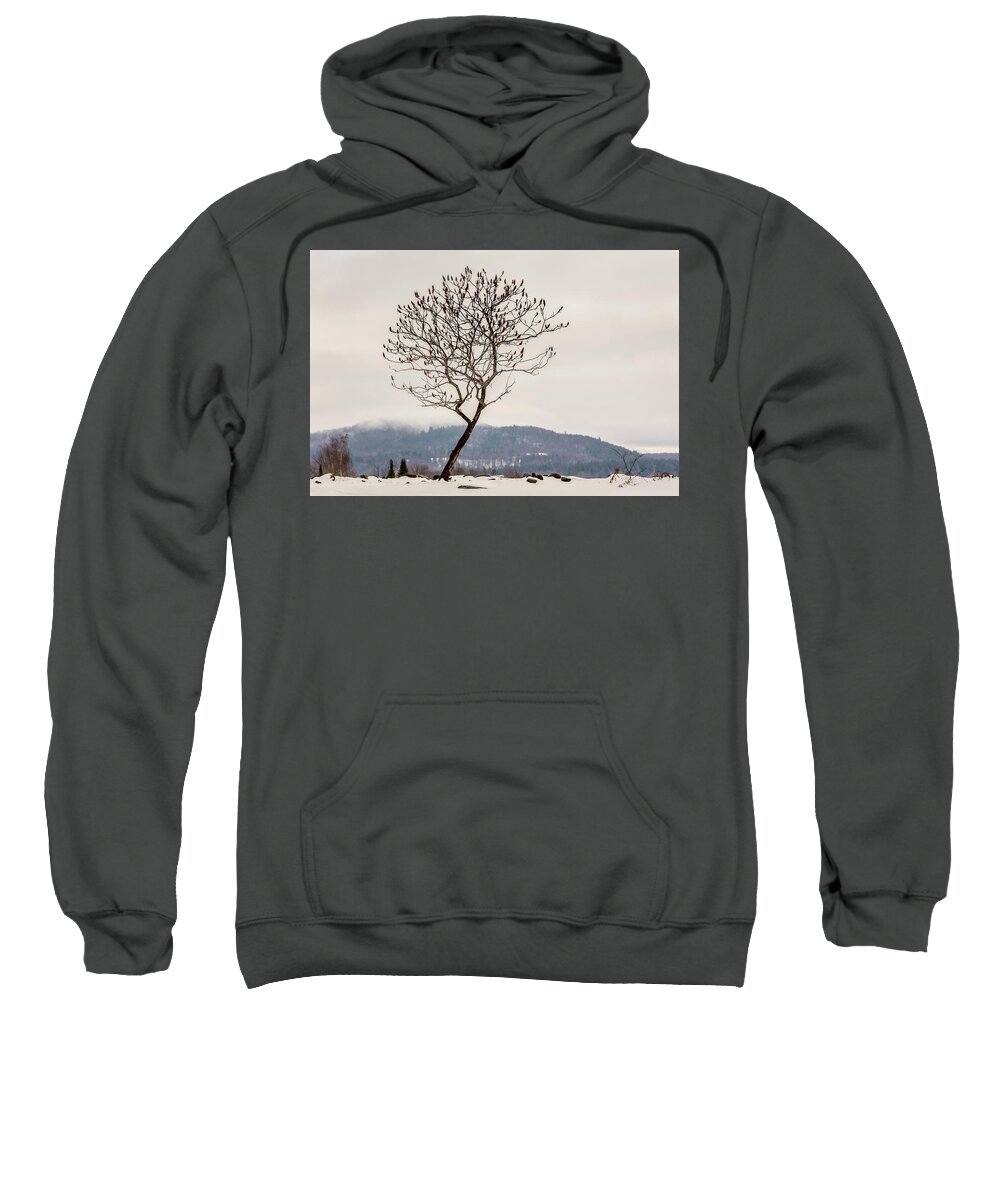 Nature Sweatshirt featuring the photograph Solitaire by Robert Mitchell