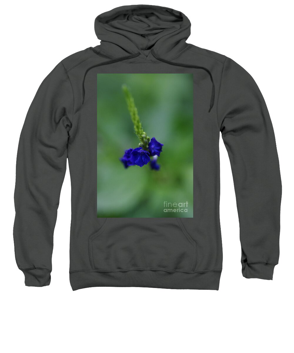 Floral Sweatshirt featuring the photograph Somewhere In This Dream by Linda Shafer