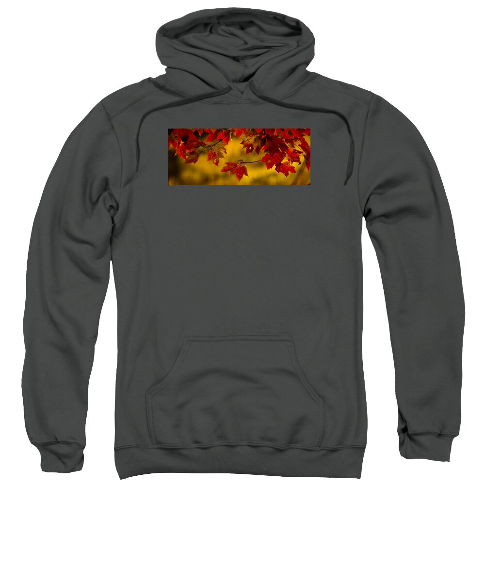 Autumn Color Sweatshirt featuring the photograph Soon Enough by Albert Seger