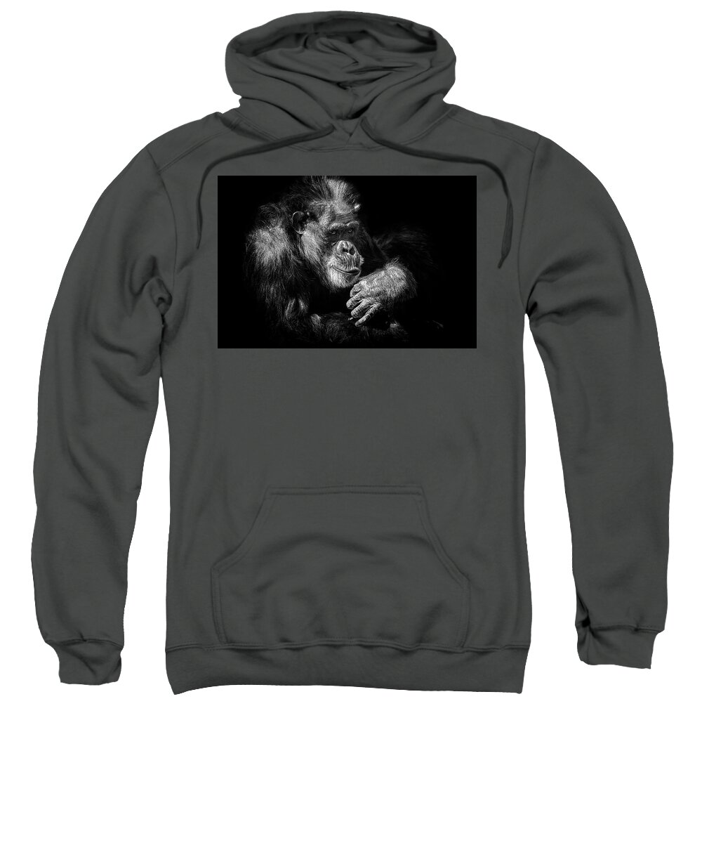 Crystal Yingling Sweatshirt featuring the photograph Sooooo by Ghostwinds Photography