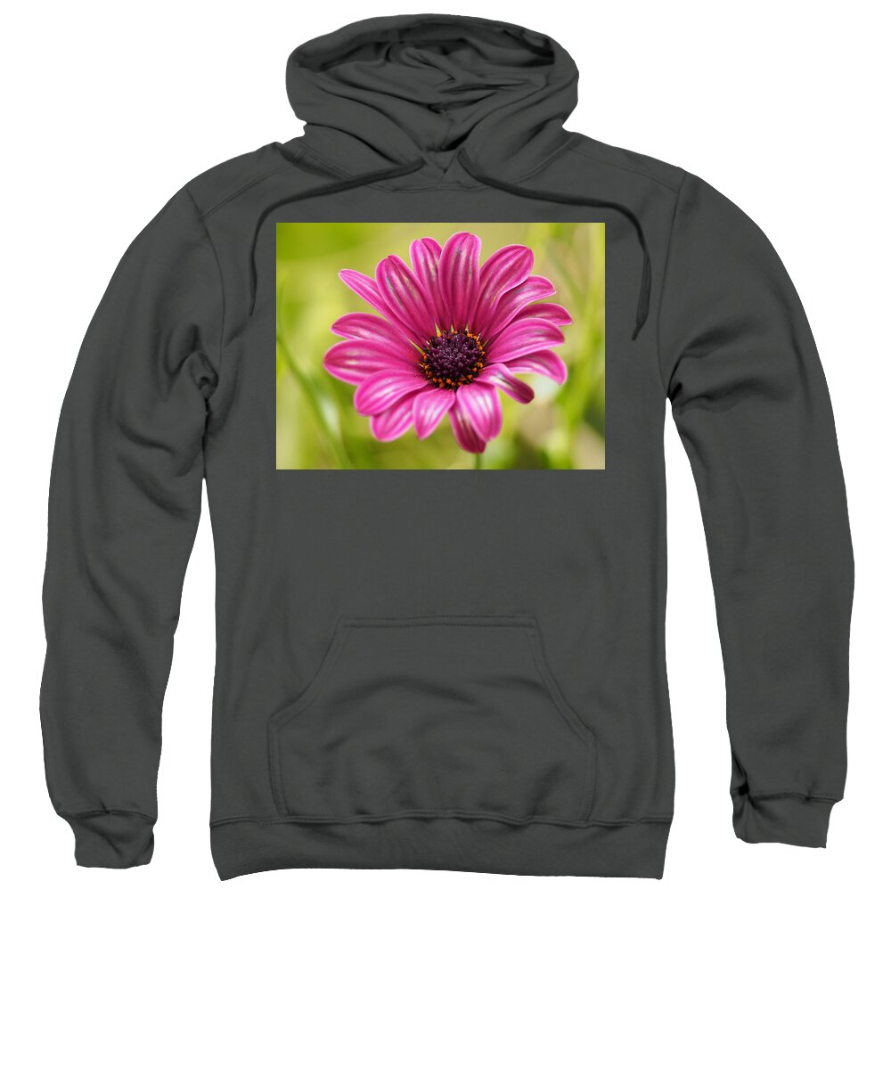 Flowers Sweatshirt featuring the photograph Soprano On a Brilliant Spring Day 4 by Dorothy Lee