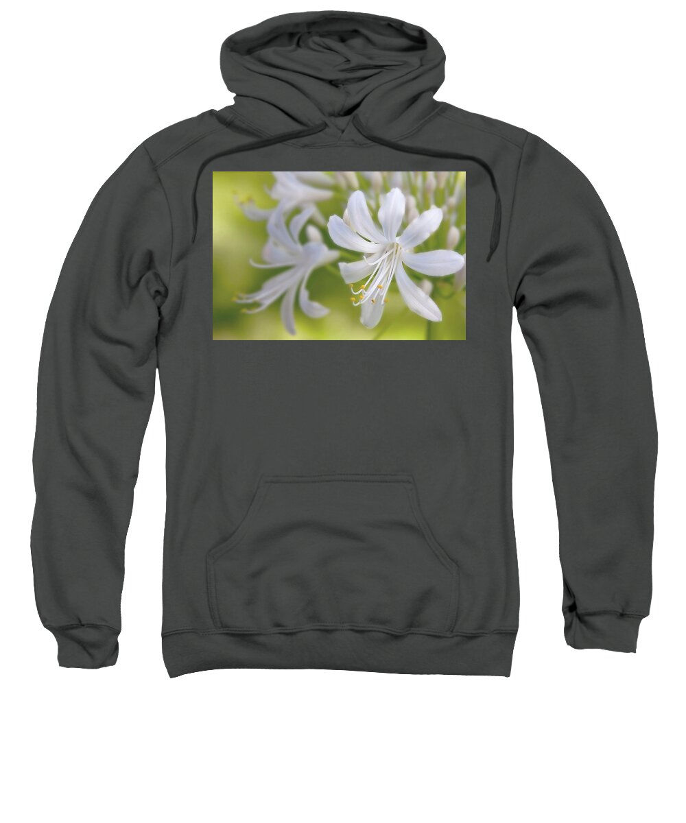 Agapanthus Sweatshirt featuring the photograph Soul kissed by Vanessa Thomas