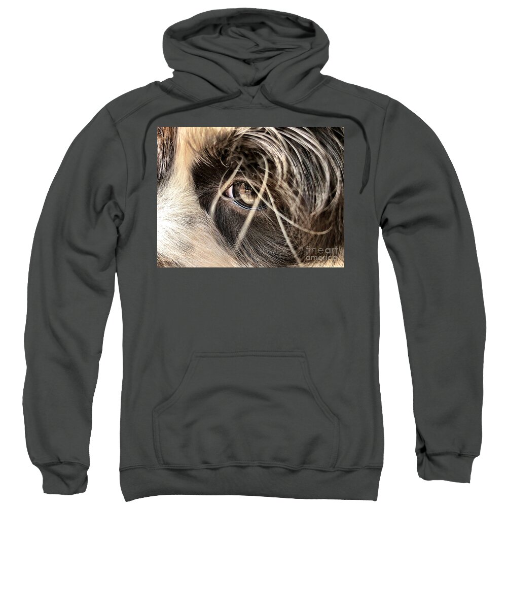 Puppy Sweatshirt featuring the photograph Soulful Eyes by Laura Forde