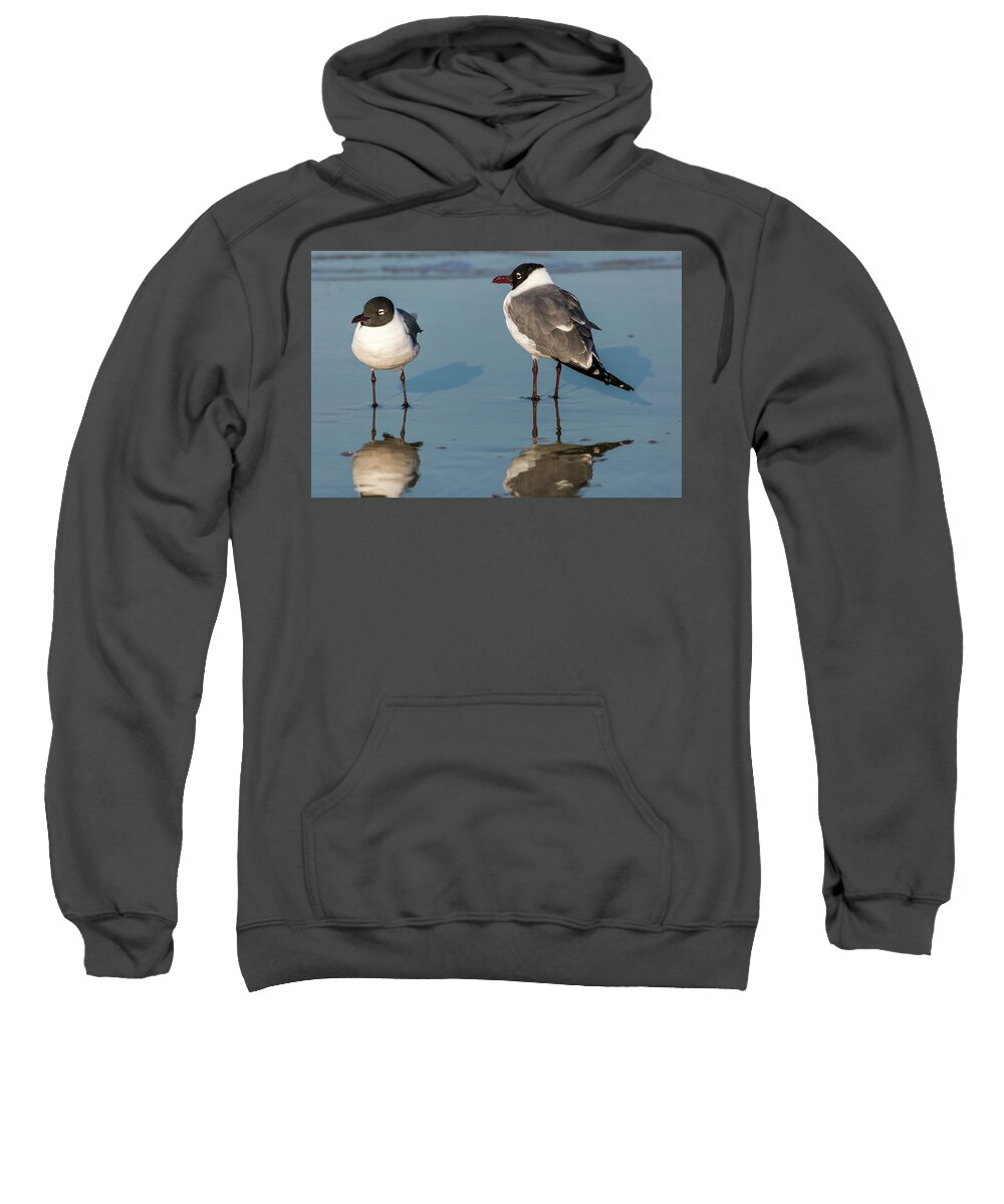 Birds Sweatshirt featuring the photograph Laughing Gulls by Ray Silva