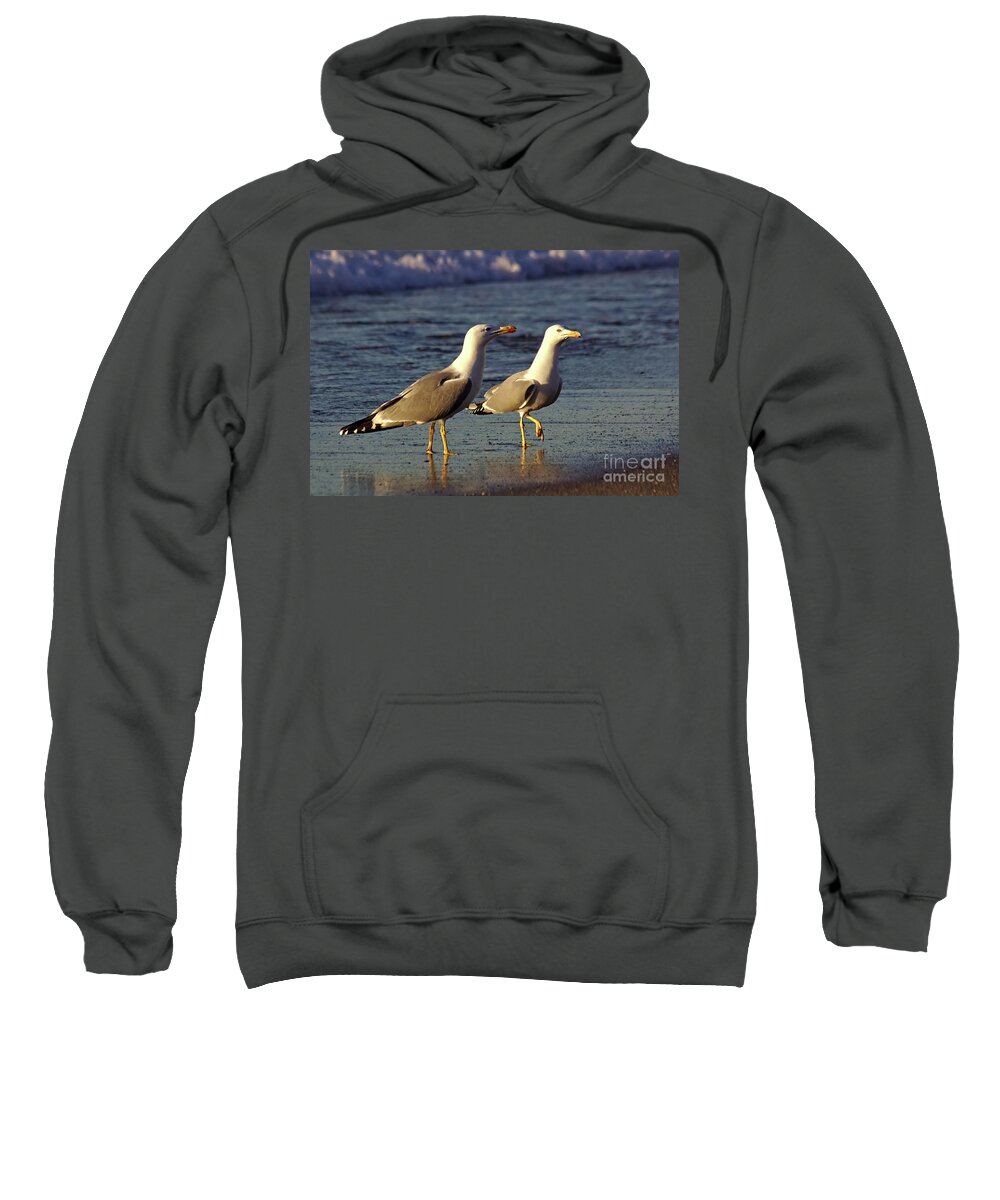 Costa Del Sol Sweatshirt featuring the photograph Spanish Gulls on the Beach by Jeremy Hayden