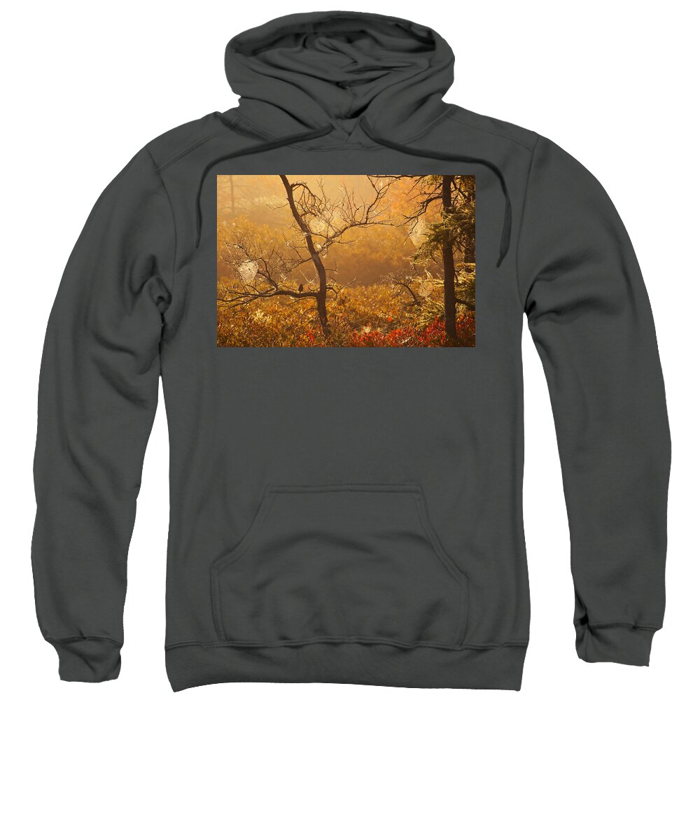 Autumn Sweatshirt featuring the photograph Sparrow and Spiderwebs by Irwin Barrett
