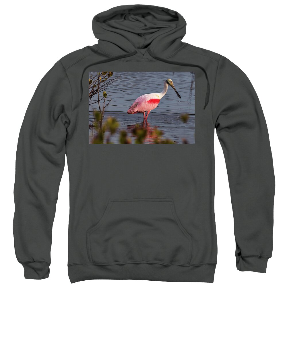 Birds Sweatshirt featuring the photograph Spoonbill Fishing by Norman Peay