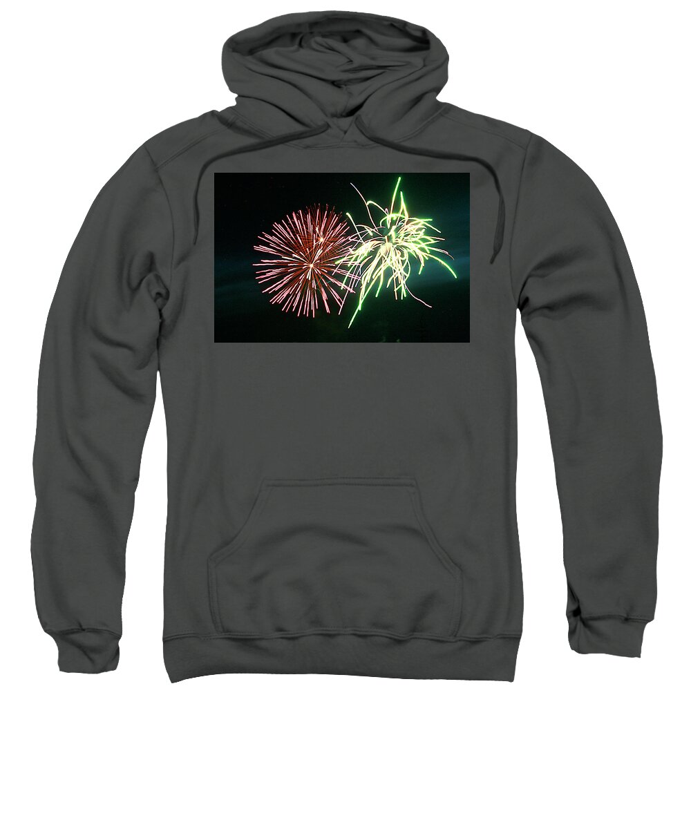 Fire Sweatshirt featuring the digital art Spider On Flower by Gary Baird