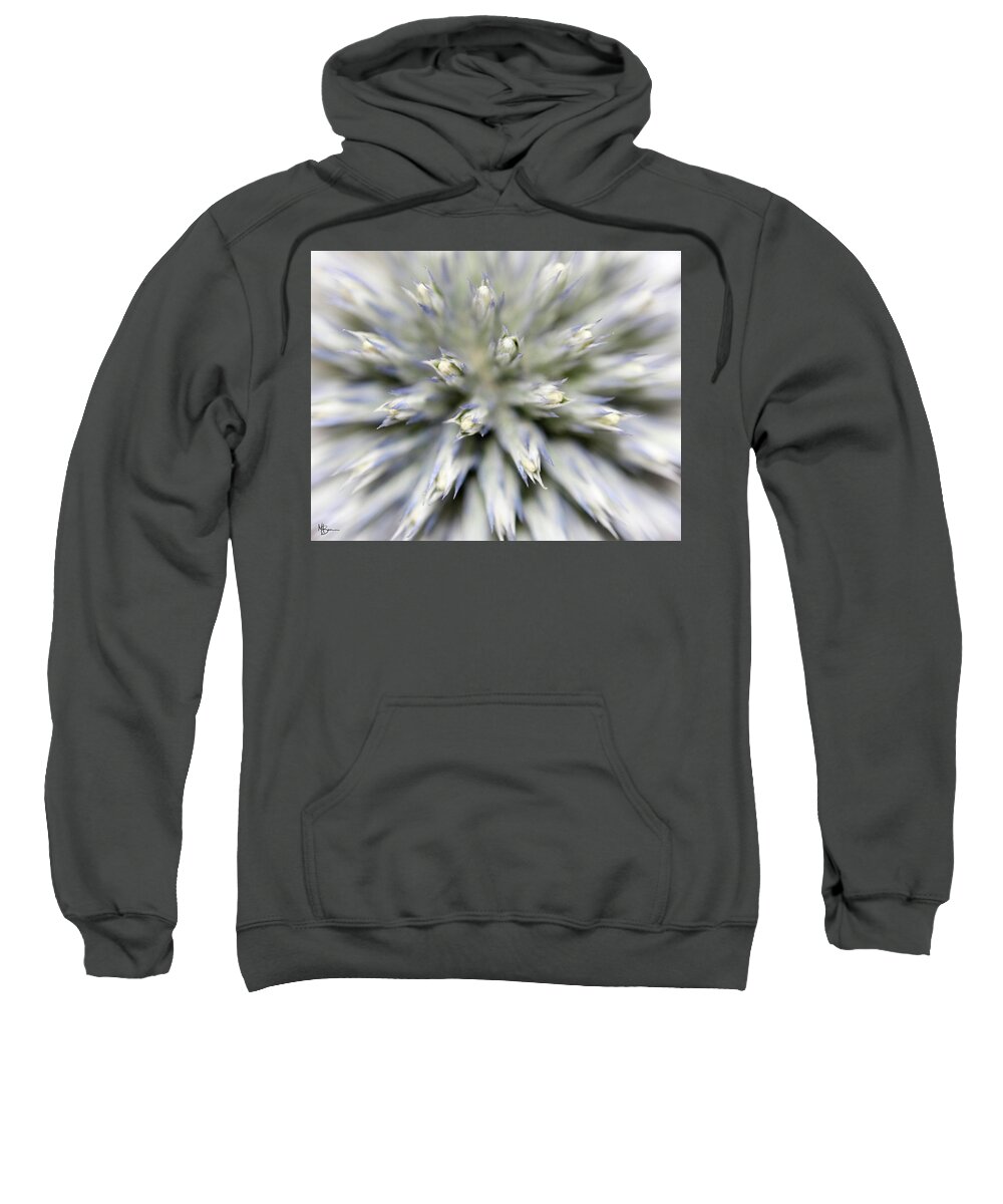 Macro Sweatshirt featuring the photograph Spiked Illusion by Mary Anne Delgado