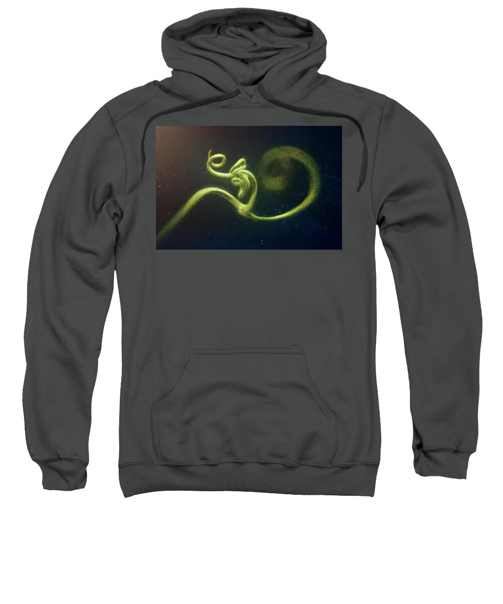 Pea Sweatshirt featuring the photograph Spiral by Scott Norris