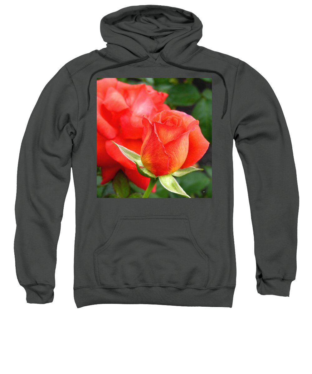 Floral Sweatshirt featuring the photograph Splendid Tropicana Roses by Will Borden