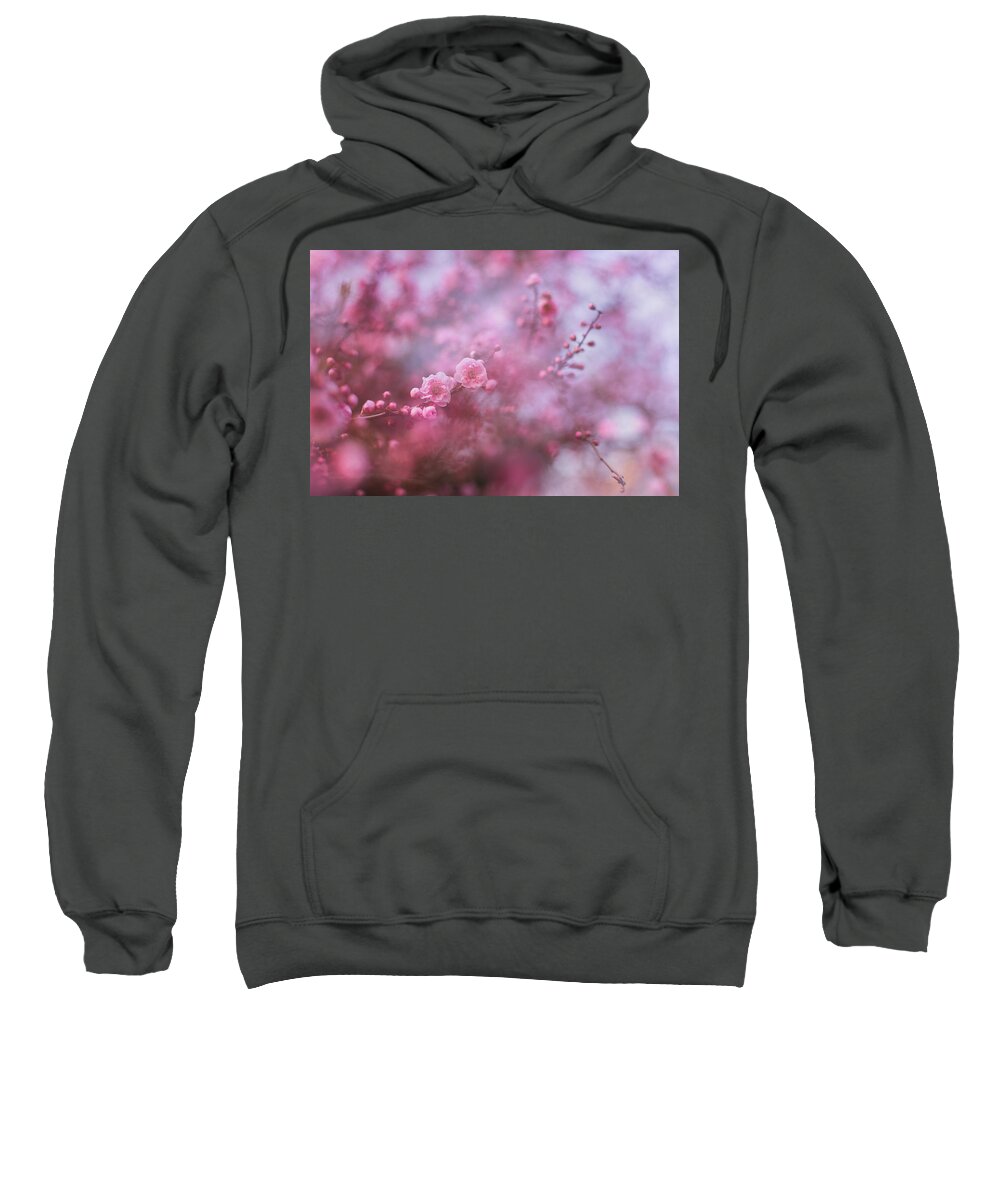 Cherry Blossoms Sweatshirt featuring the photograph Spring blossoms in their beauty by Kunal Mehra