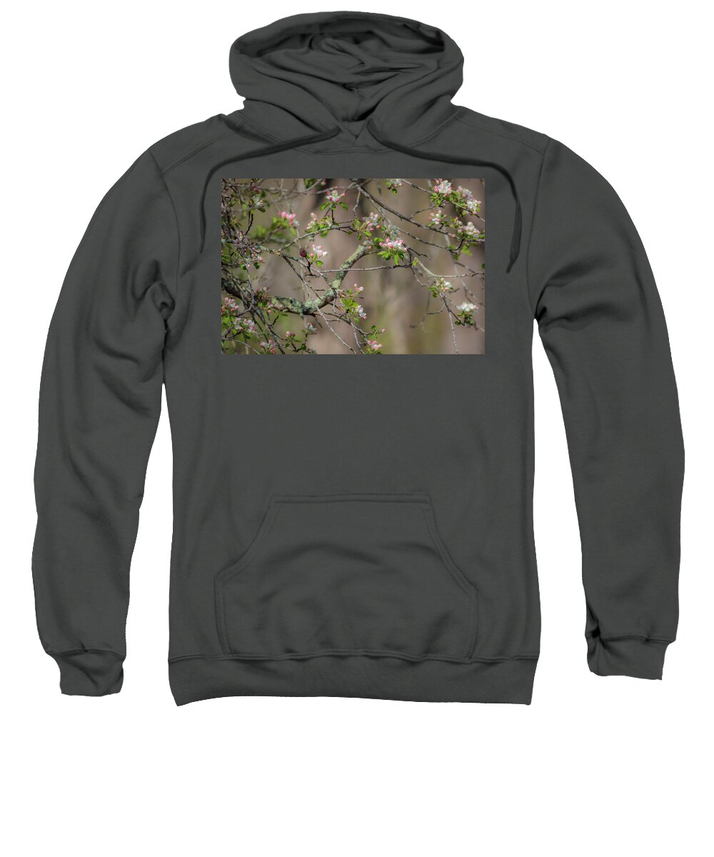300 Mm F/4 Is Usm Sweatshirt featuring the photograph Spring Blossoms 2 by Mark Mille