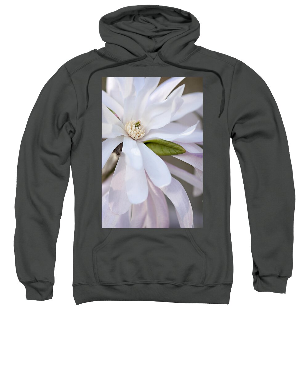 Magnolia Blossom Sweatshirt featuring the photograph Spring Glory by Jill Love