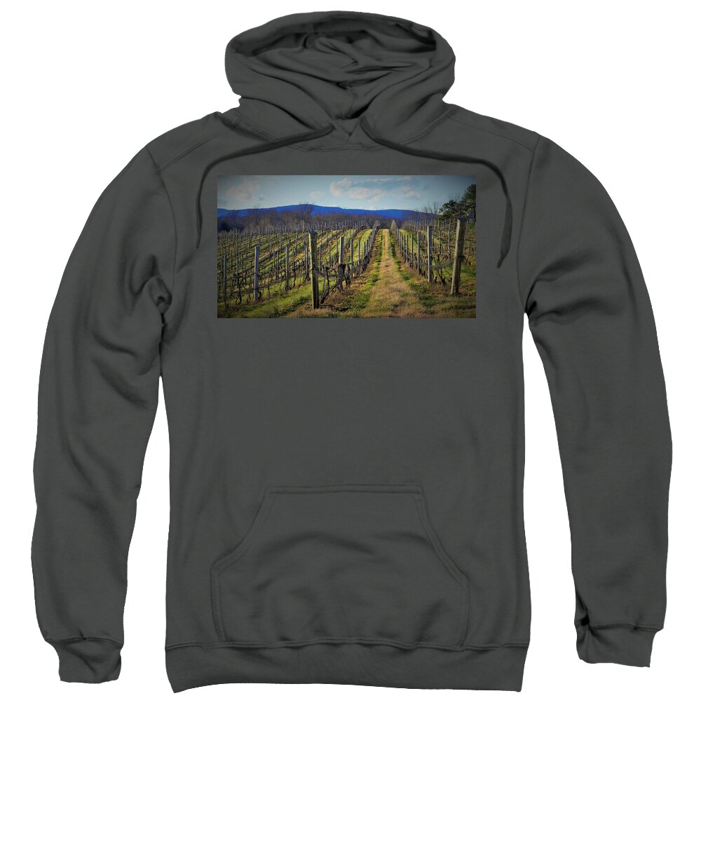 Grapes Sweatshirt featuring the photograph Spring Grapevines in The Blue Ridge by Mark Mitchell