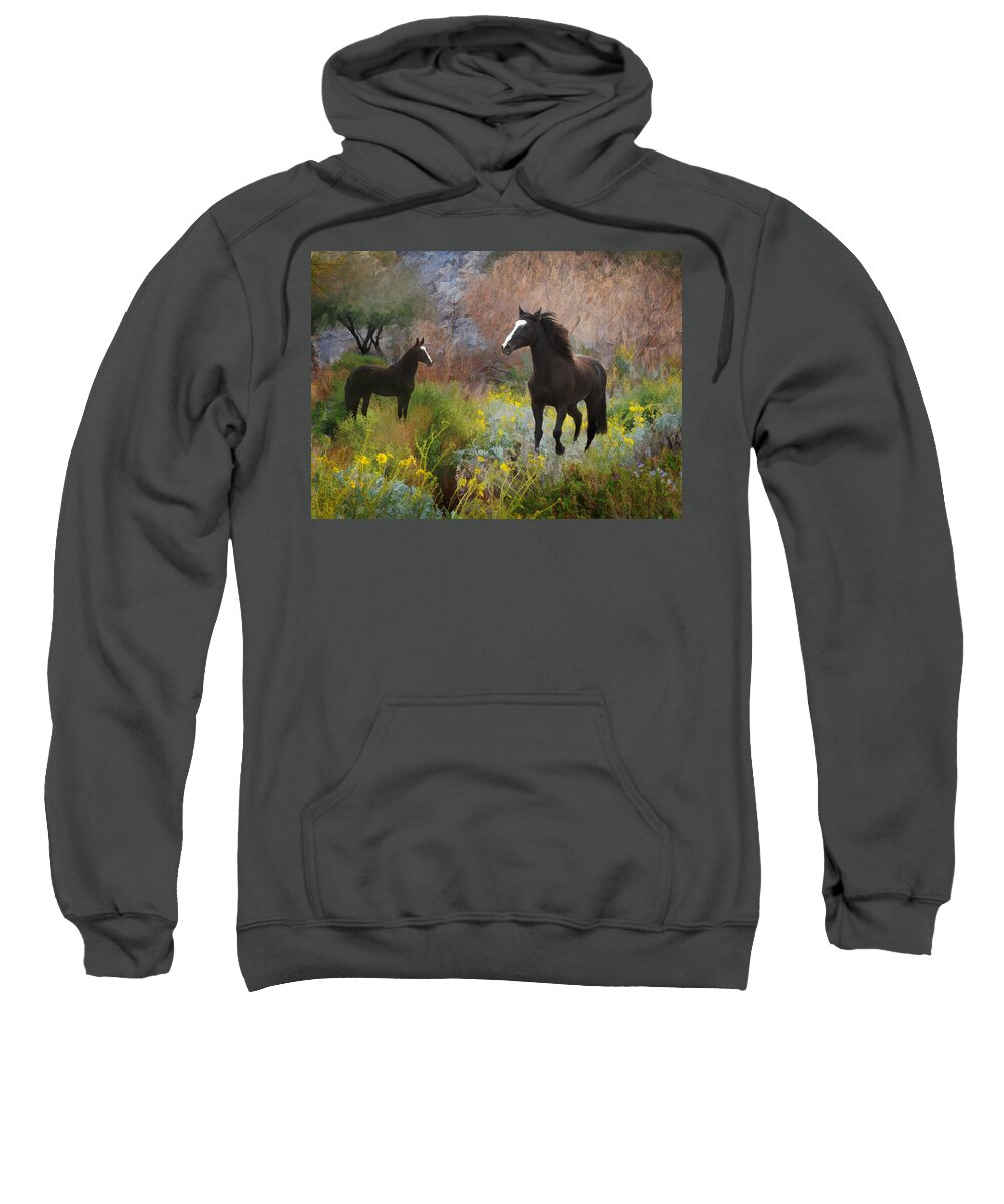 Black Horses Sweatshirt featuring the photograph Spring Play by Melinda Hughes-Berland