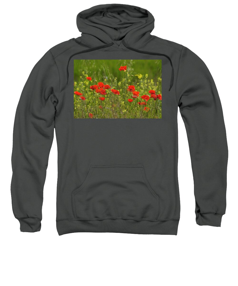 Poppy Sweatshirt featuring the photograph Spring poppies by Cliff Norton