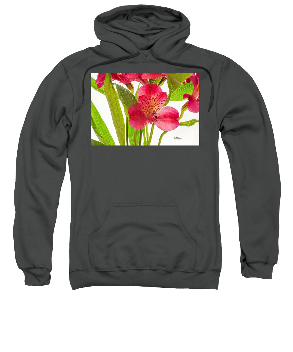 Flower Sweatshirt featuring the photograph Spring Rain by Will Wagner