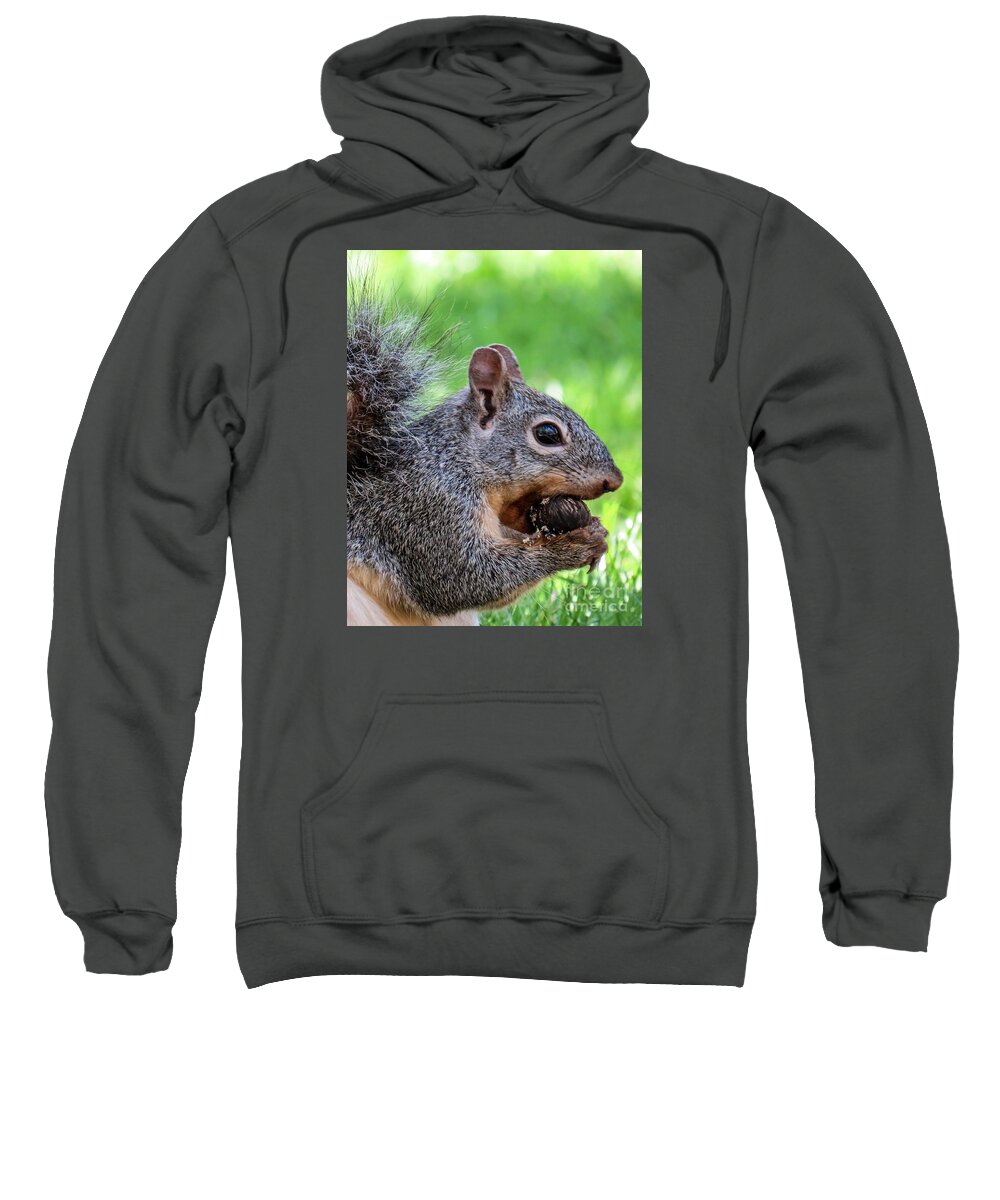 Outdoors Sweatshirt featuring the photograph Squirrel 1 by Christy Garavetto