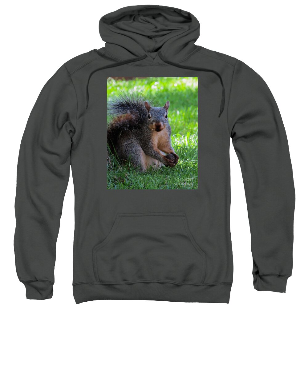 Squirrel Sweatshirt featuring the photograph Squirrel 2 by Christy Garavetto