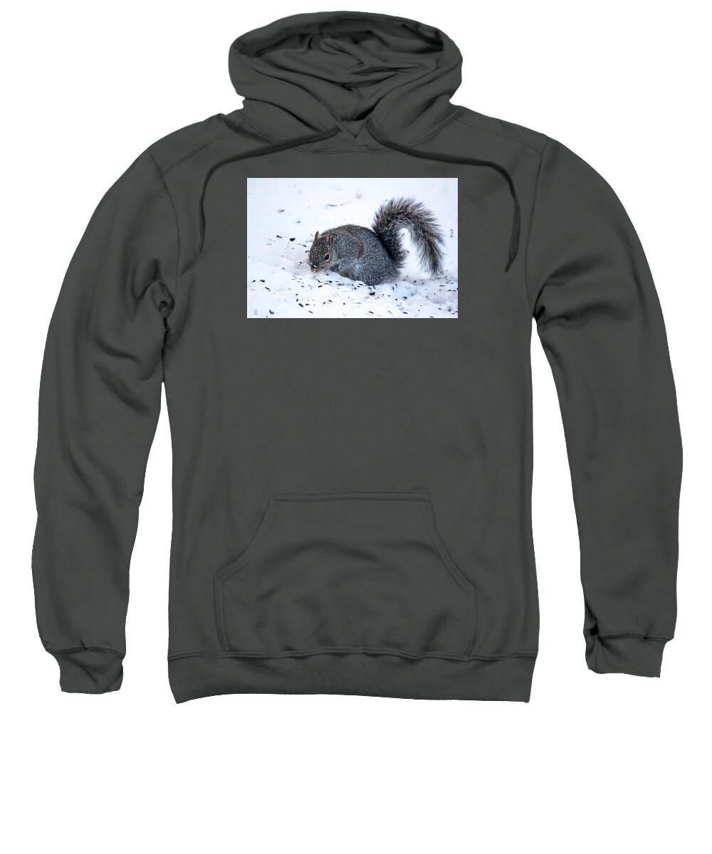Nature Sweatshirt featuring the photograph Squirrel on the Hunt by Trina Ansel
