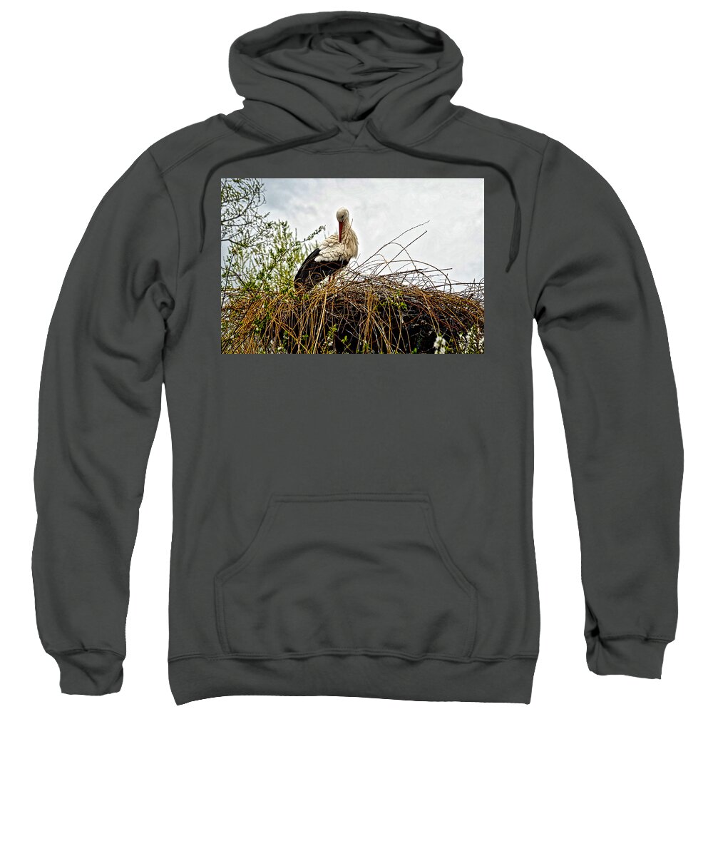 Europe Sweatshirt featuring the photograph Stork Nest by Richard Gehlbach