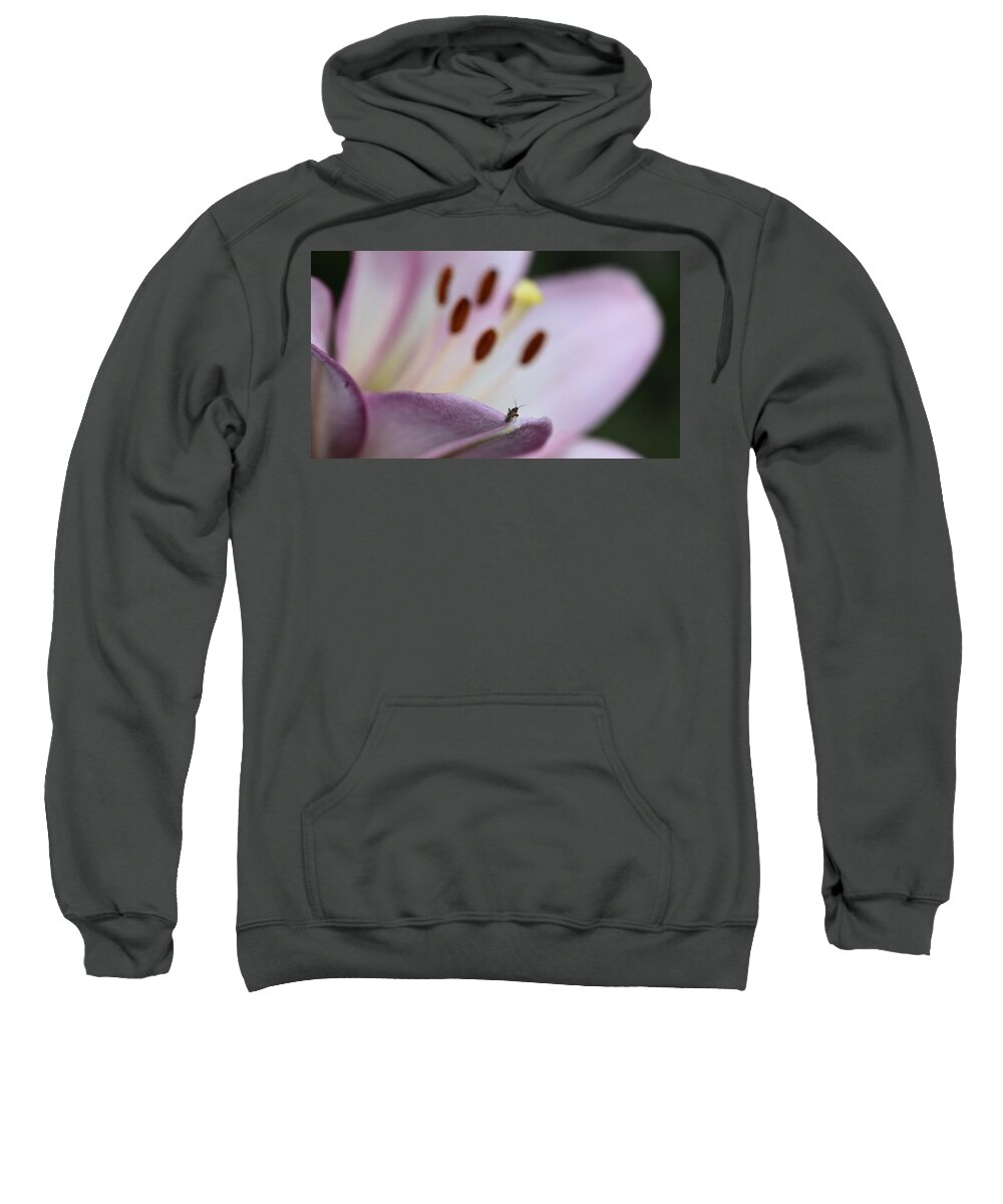 Lily Insect Flower Stamen White Purple On-dark On-black Sweatshirt featuring the photograph Stranger in a Strange Land by Ian Sanders