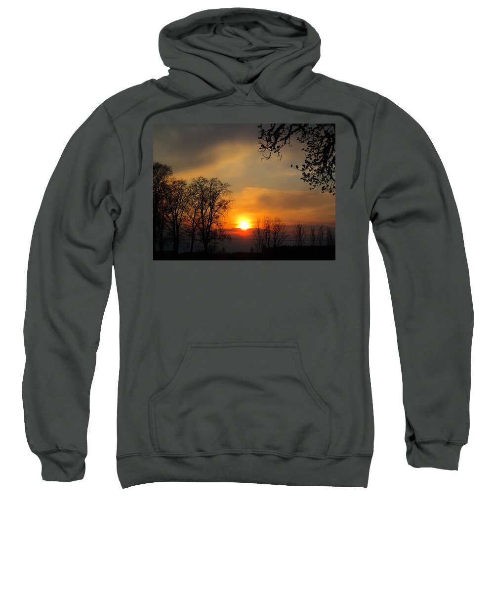 Silhouette Sweatshirt featuring the photograph Striking Beauty by Rosita Larsson