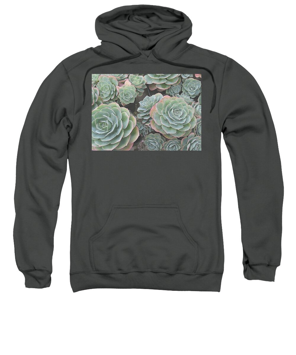 Succulents Sweatshirt featuring the digital art Succulent 2 by David Hansen