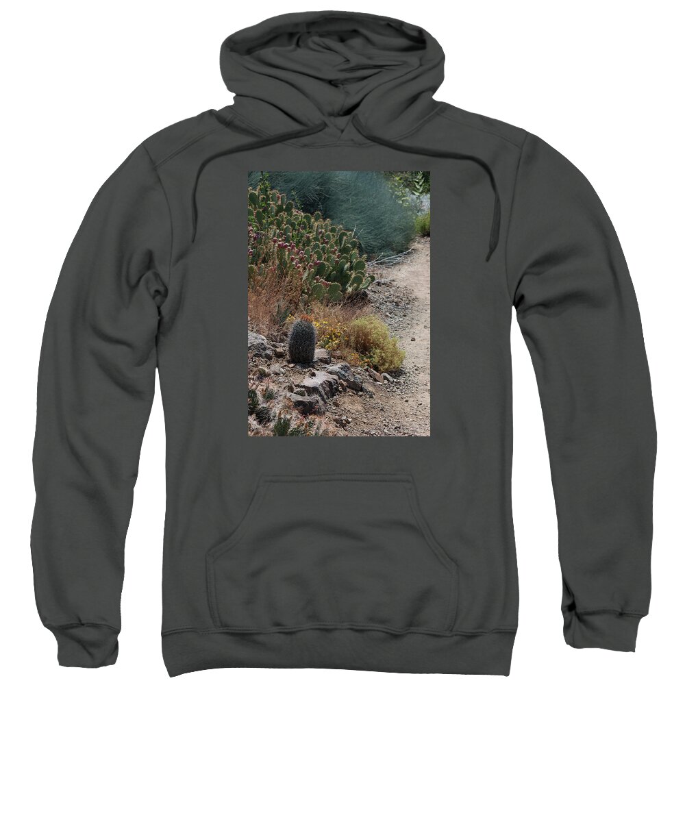 Photograph Sweatshirt featuring the photograph Succulent Series I by Suzanne Gaff