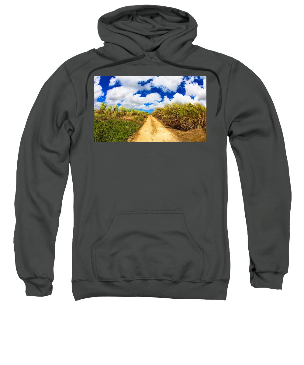 Barbados Sweatshirt featuring the photograph Sugarcane Fields by Raul Rodriguez