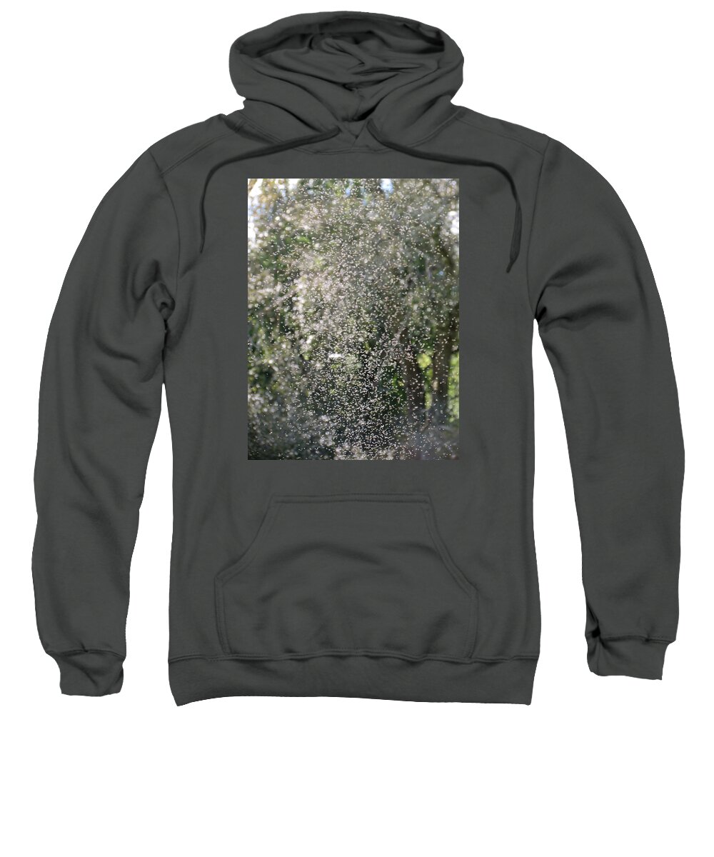 Insects Sweatshirt featuring the photograph Summer Daze by Azthet Photography