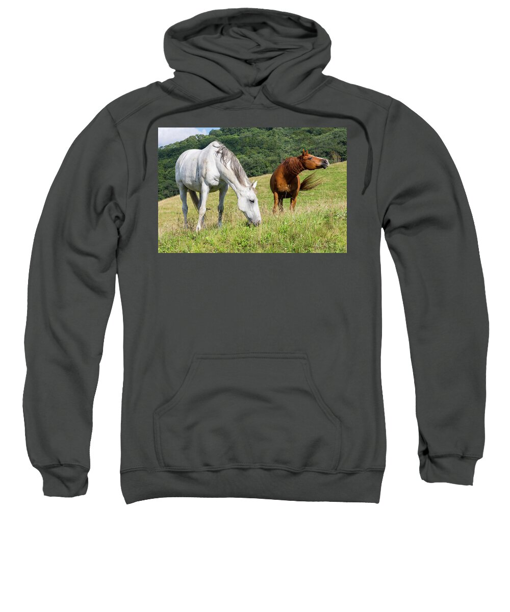 Horses Sweatshirt featuring the photograph Summer Evening For Horses by D K Wall